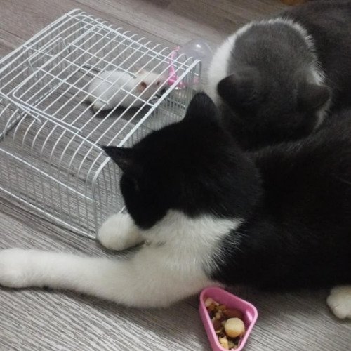 Bình chống rỉ sét